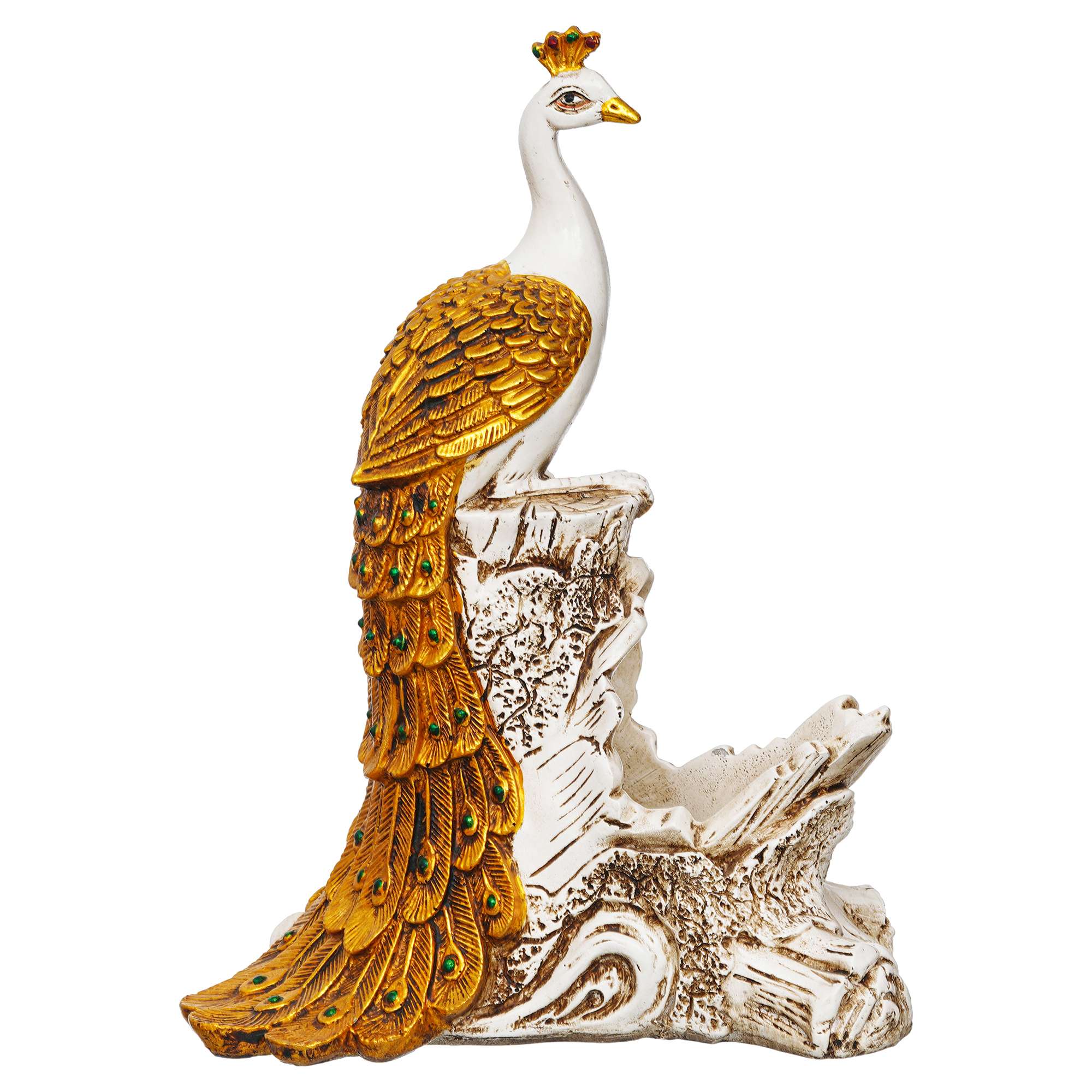 Chitran Product Photography